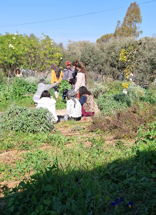 תמונת גלריה 2