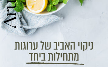 ניקוי אביב – התחדשות הגוף והנפש